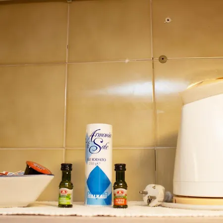 Apartment Nel Cuore Di Pisamonolocale In Palazzo Storico. *