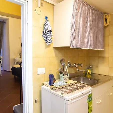 Appartamento Nel Cuore Di Pisamonolocale In Palazzo Storico. *